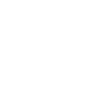 Implementation of ERP for Free Zones