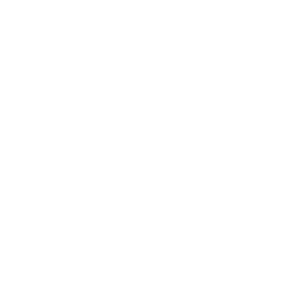 ERP Implementation for Vehicle Dealerships