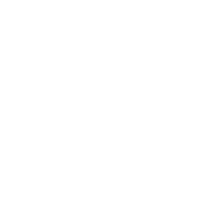 Automotive Shop Floor Management