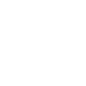 Prestashop Online Store Implementation