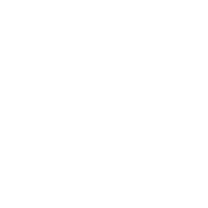 SAP R/3 Implementation