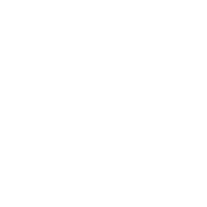SBO Implementation