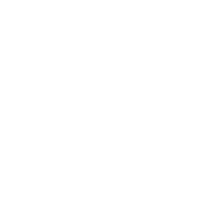 Web Portal Connection