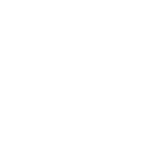 Web Portal for Personal Security Control